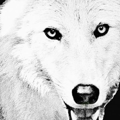 Wide Awake (Not Dreaming)