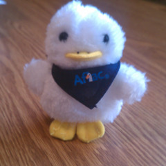 Evil Duck - Sinister Laugh