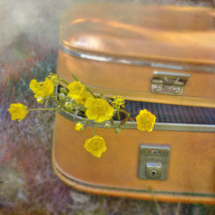 Spring Waltz - Flower Inst