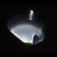 Oval - Sophioko EP - 01 - I