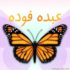 عيونى عليك