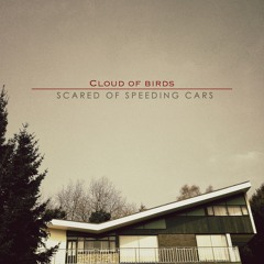 Scared Of Speeding Cars