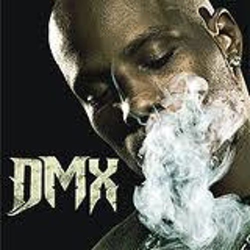 Dmx Party Up Spinitch Remix By Spinitch