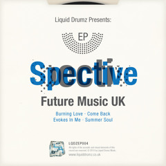 LQDZEP004D.Spective - Summer Soul