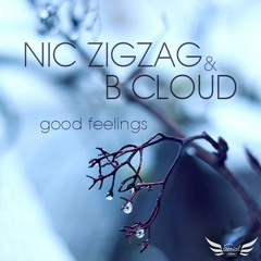 Nic ZigZag & B Cloud - Good Feelings [AERIAL015]