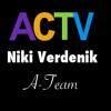 Niki Verdenik - Ed Sheeran - A Team (As Seen on ACTV's Youtube Channel)