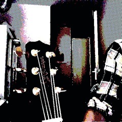 Rollercoaster (M. Ward cover)