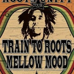 TRAIN TO ROOTS ls MELLOW MOOD - WAITING IN VAIN 2011