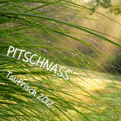 Pitschnass Taufrisch 2012
