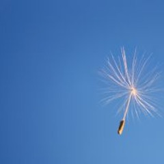 Denis` Electronica-Ambient-Snoezelmix 4 Rummelkiste