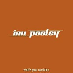 Ian Pooley  -  What's Your Number