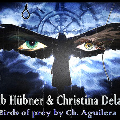 Jakub Hubner & Christina Delaney - Birds Of Prey (Christina Aguilera Cover)