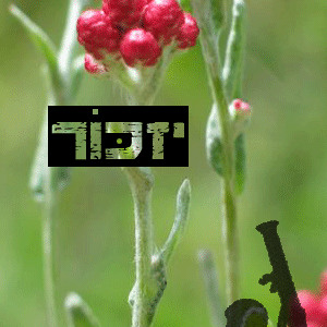 דברים ושיר לזכרו של סמ