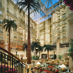 The winter garden mix