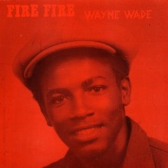 Wayne wade - Lady (reggae)