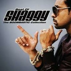 102 HEY SEXY LADY - SHAGGY FT BRIAN TONY GOLD ( DJ EMIX 2012 )