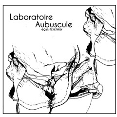 Labobuscule J1 - chez recto verso - artaud
