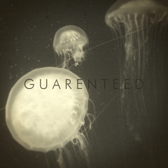 USSA Pleasuredome - Guarenteed (Lambagram Remix)