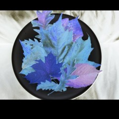 New tune ! Just experimenting with new toys ! I have compiled this wee choon  n along with 3 others ! All novice experimentation