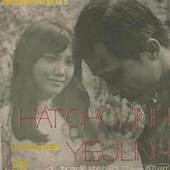 Chân trời tím - Kim Vui