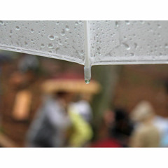 After the rain... 傘を閉じて…