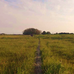 I will tell you. 教えてあげる