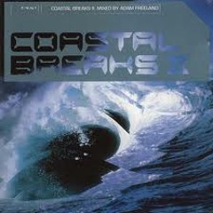 Coastal Breaks II : Mixed by Adam Freeland : (Disc 1) released 1998