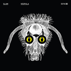 DC94 Slam - Vespula - Drumcode