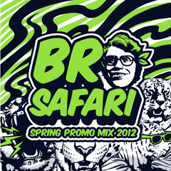 Bro Safari - Spring Promo Mix 2012
