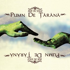 18. Pumn de Tarana - Arma veche, ruginita