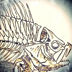 Find me in the Woods [PHISHBONE]