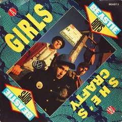 I Love Girls - Beastie Boys remix by Saleem Razvi