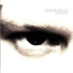 Dissappoint [Assemblage 23 Rmx]