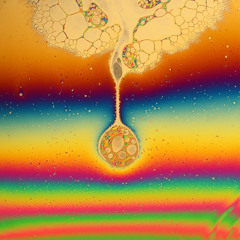 AGNOSTIC