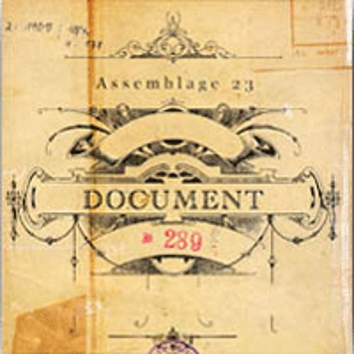 Document [Echo Image Rmx]
