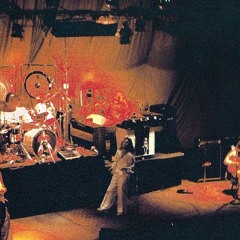 Plight of the swan Rendered