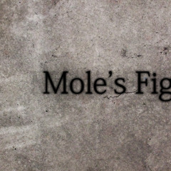 Mole's Fight - I'll go