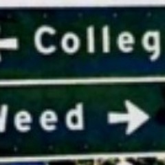 Hess & SunCo Sweet Love (WEED)