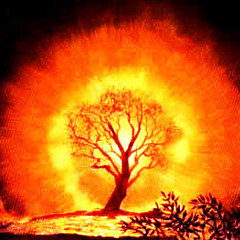 The Burning Bush