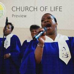 Church Of Life - Sour Lemonade [Preview]