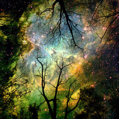 Orchestral / Romantic - Grace [Music Library]