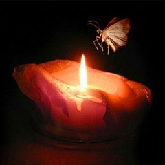 The Light [W.I.P] - Fluey Live Jam By Levi Washington