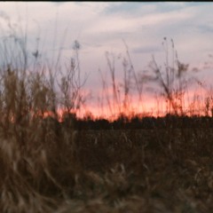 Image Over Being- Tripping Point, Tipping Proint