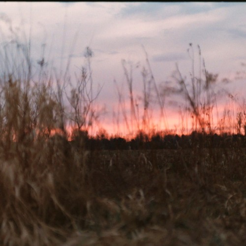 Image Over Being- Tripping Point, Tipping Proint