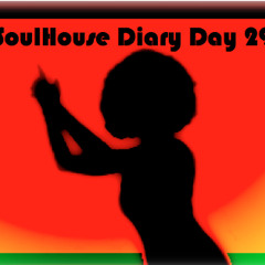 SoulHouse Diary Day 29