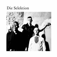 [a+w cd001] DIE SELEKTION - Dust