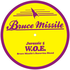 Jurassic 5 - W.O.E (Bruce Missile´s Bucovina Blend)
