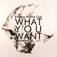 Bombay Bicycle Club - What You Want (THE DARCYS Remix)