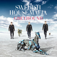 Swedish House Mafia - Greyhound(Ivo Ribeiro remix )