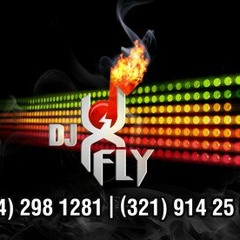 Zouk love mix 2008 BY DJ X-FLY